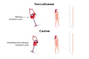 интимная гимнастика